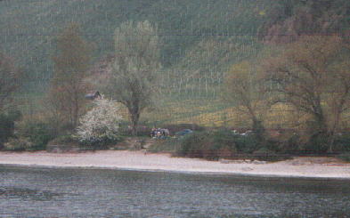 von der F&auml;hre aus